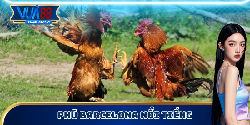 Phúc Barcelona chuyên huấn luận chiến kê đá chủ động