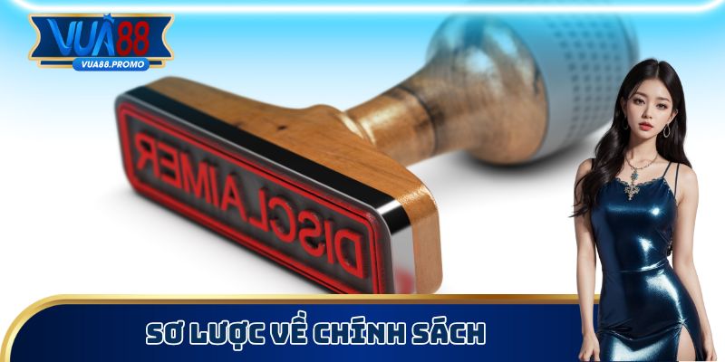 Sơ lược về chính sách