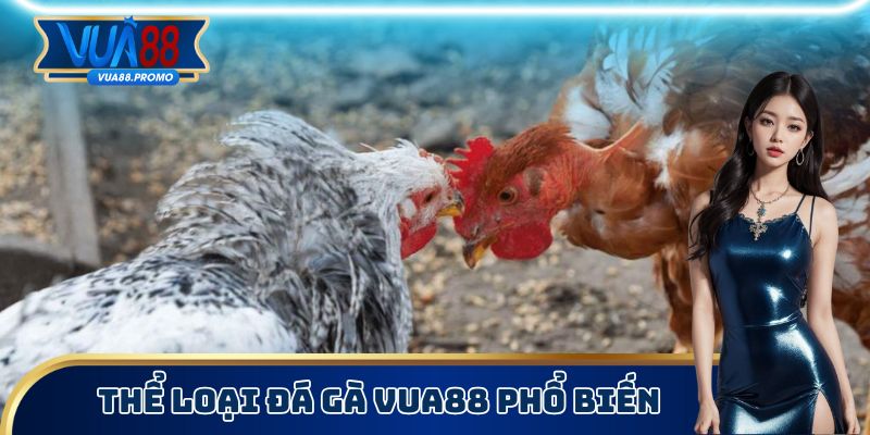 Thể loại đá gà Vua88 phổ biến
